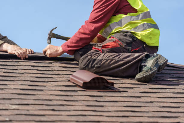 Best Roof Gutter Cleaning  in Starke, FL