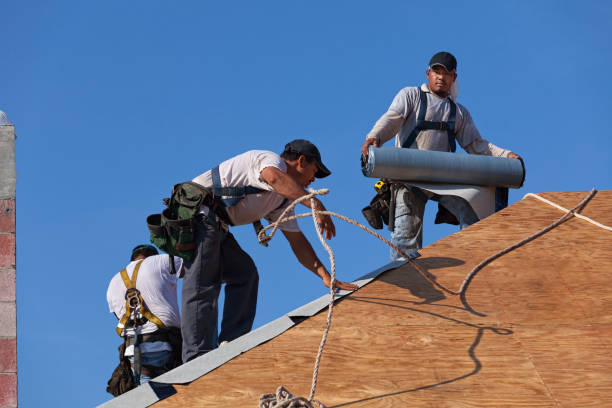 Best Storm Damage Roof Repair  in Starke, FL